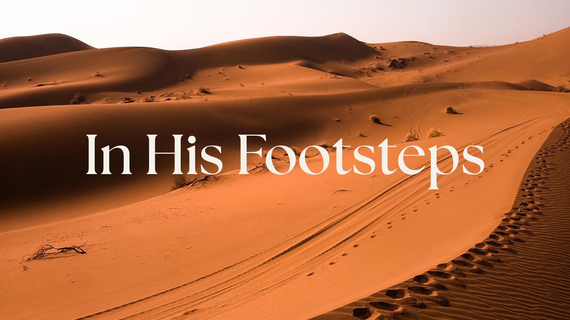 In His Footsteps